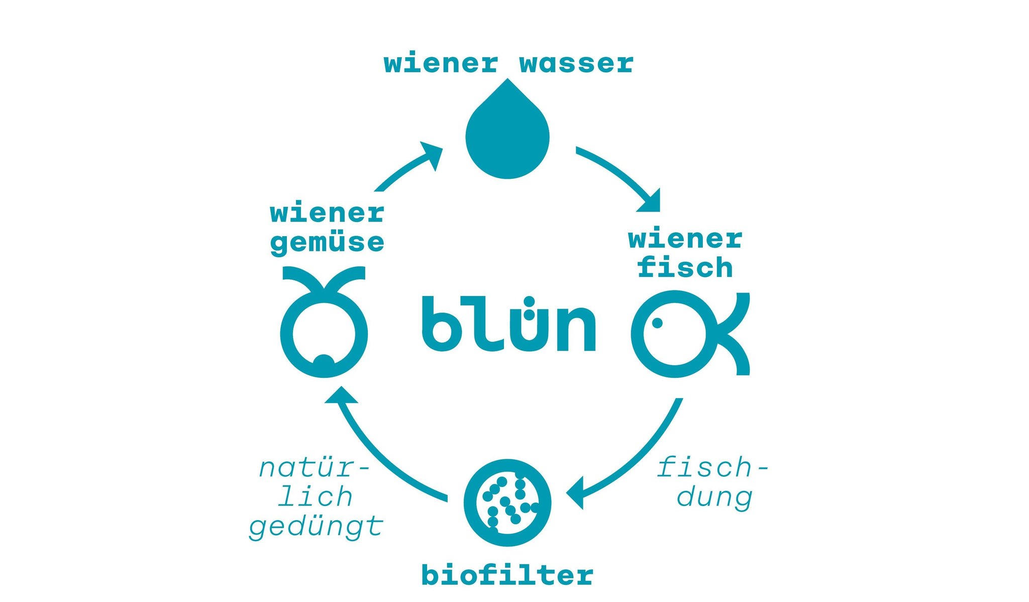 Darstellung des Kreislaufs des Wiener Hochquell Wassers in der Aquaponik Anlage von Blün