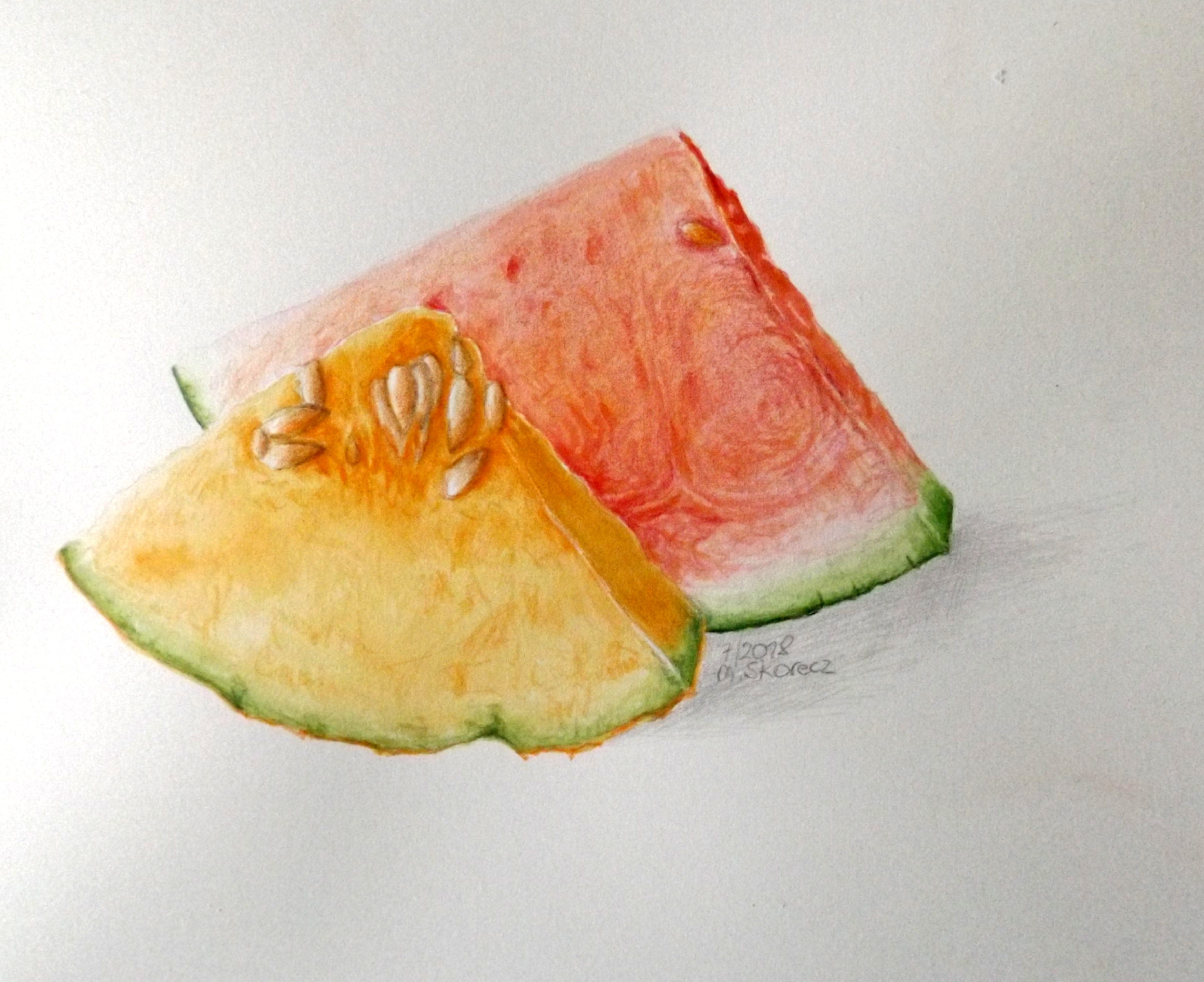 Scheiben Melonen Handgemalt