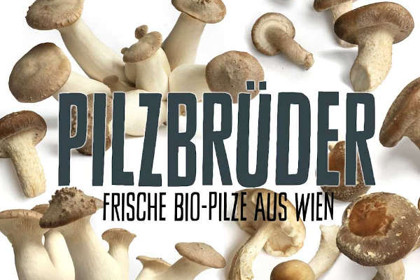 Pilzbrüder