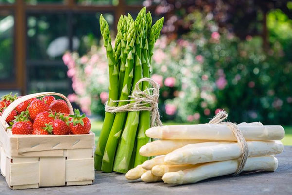 Edlinger Spargel bei Ögreissler