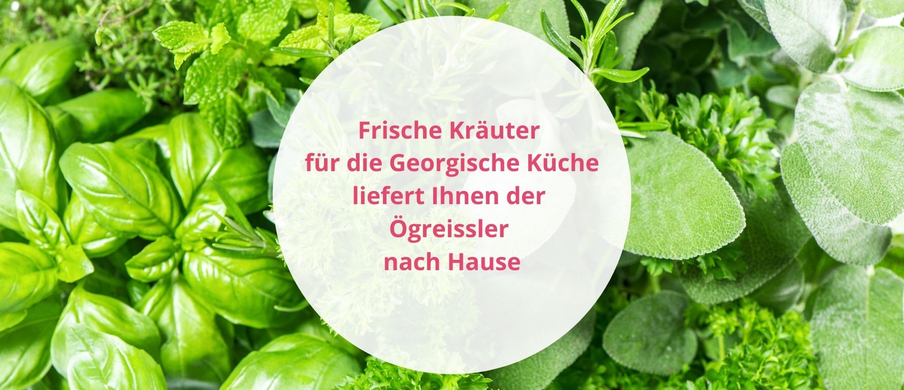 Frische Kräuter im Ögreissler-Shop bestellen