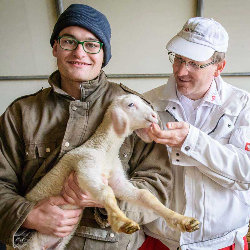 Frisches Bio-Lammfleisch bringt der Ögreissler direkt ab Hof zu Ihnen nach Hause. Nachhaltig mit dem E-Auto oder der Post. 