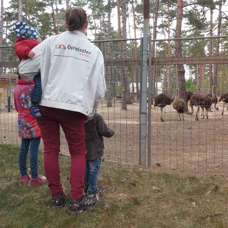 Ögreissler-Kindergeburtstag