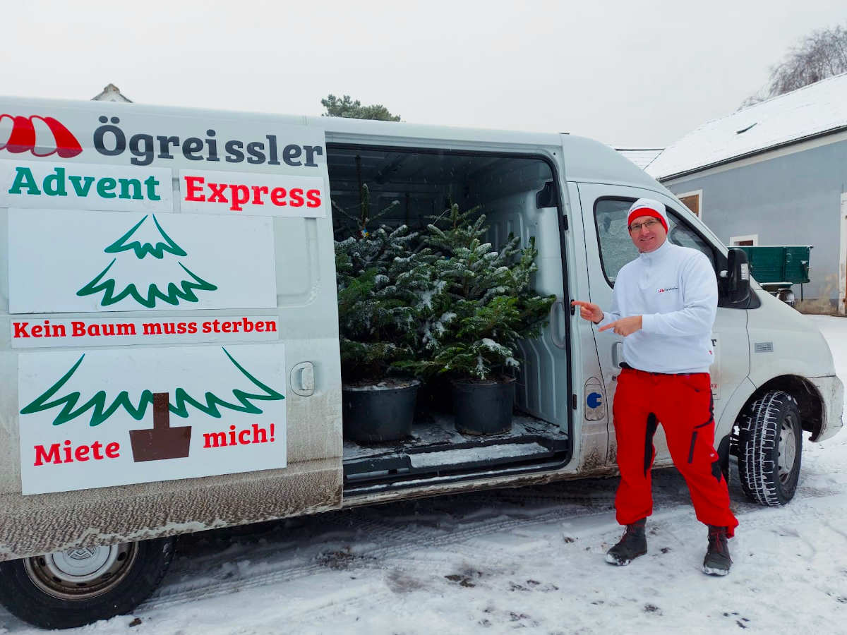 Advent Express bringt lebende Christbäume